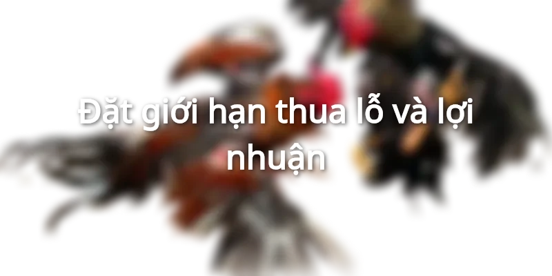 Các mẹo chơi Nổ Hũ SHBET giúp tăng cơ hội thắng jackpot