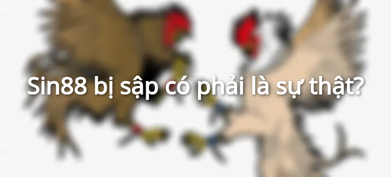 Sin88 bị sập