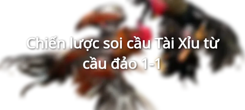 soi cầu b52