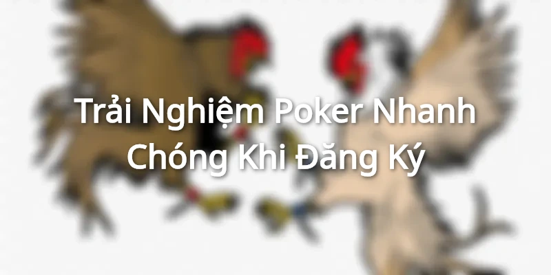 Trải nghiệm nhanh chóng