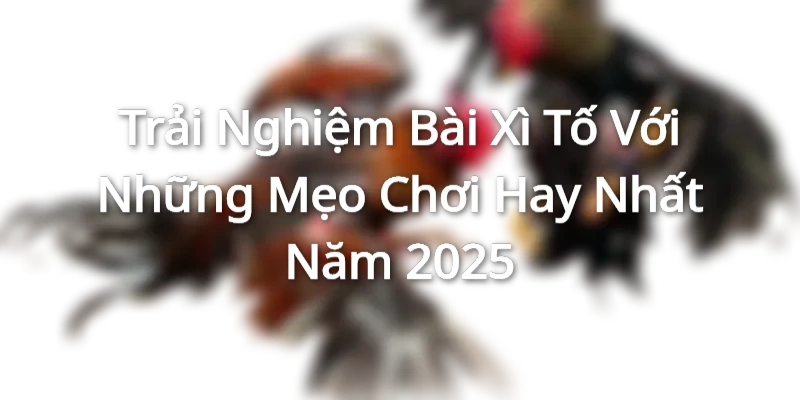 Trải Nghiệm Bài Xì Tố Với Những Mẹo Chơi Hay Nhất Năm 2025